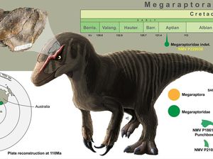 Ahli Paleontologi Temukan Fosil Dinosaurus Baru, Pernah Hidup di Benua Kuno Ahli Paleontologi Temukan Fosil Dinosaurus Baru, Pernah Hidup di Benua Kuno