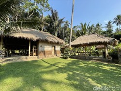 Saat Museum dan Sekolah Berduet Bangun Sekolah Alam Gratis di Bali