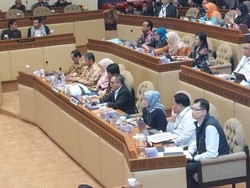 MenPAN-RB Curhat di DPR Dapat Komplain Keras dari Fresh Graduate