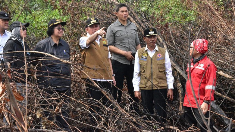 Cek Karhutla di OKI, Menteri LHK Bicara Hotspot hingga Sanksi Hukum