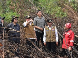 Cek Karhutla di OKI, Menteri LHK Bicara Hotspot hingga Sanksi Hukum
