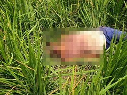 Polisi Tegaskan Motif Pembunuhan Petani Probolinggo Bukan Soal Harga Cabai