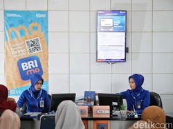 BRI Buka Banyak Lowongan Kerja Jadi MT Hingga Mantri, Ini Syaratnya