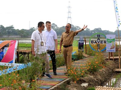 Usaha Meningkatkan Produktivitas Pertanian
