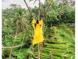 Harga Tiket Alas Harum Bali, Serunya Naik Ayunan Esktrem di Tengah Alam Hijau