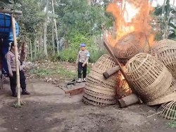 Polisi Gerebek dan Bakar Arena Judi Sabung Ayam di Malang