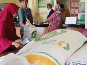 Bos Badan Pangan Ungkap Alasan Bantuan Beras Tak Lagi dari Kemensos Bos Badan Pangan Ungkap Alasan Bantuan Beras Tak Lagi dari Kemensos