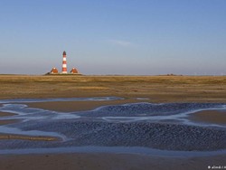 Cacing Laut Berpotensi Merevolusi Dunia Kedokteran