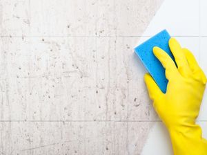 7 Langkah Bersihkan Kamar Mandi biar Nggak Jadi Sarang Kuman 7 Langkah Bersihkan Kamar Mandi biar Nggak Jadi Sarang Kuman
