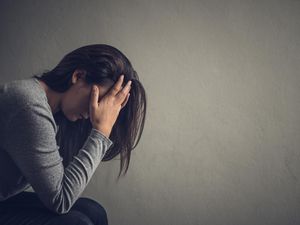 Istri Gugat Suami Karena Lebih Sayang Kucing, Begini Endingnya Istri Gugat Suami Karena Lebih Sayang Kucing, Begini Endingnya