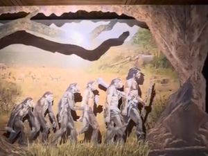 Mengenal Cara Manusia Purba Bali Bertahan Hidup dari Zaman ke Zaman