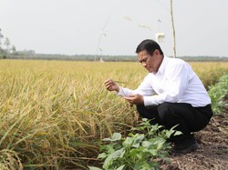 Mentan Bertemu Anak Buah Luhut Bahas Pengembangan Food Estate Humbahas