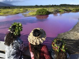 Penampakan Telaga di Hawaii Berubah Warna Misterius Menjadi Pink