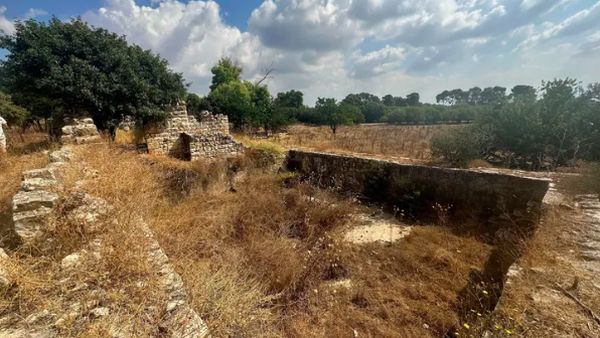 Foto Desa Palestina Dibuldoser Israel Tahun 1948 Bermodus Arkeologi