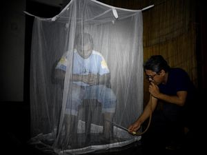 Terburuk! Lebih dari 1.000 Orang Meninggal Gegara DBD di Bangladesh Terburuk! Lebih dari 1.000 Orang Meninggal Gegara DBD di Bangladesh