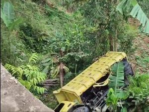 Truk Masuk Jurang di Tasikmalaya, Klakson Jadi Penyelamat