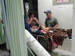 Balita 4 Tahun di Lombok Nyaris Tewas Digigit 5 Anjing Liar Balita 4 Tahun di Lombok Nyaris Tewas Digigit 5 Anjing Liar