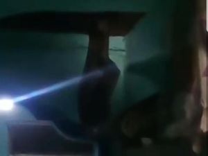 Ngeri! Ular Sanca 5 Meter Jatuh dari Plafon Rumah Warga Koja Jakut