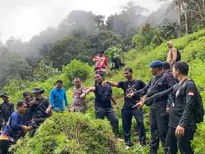 Polisi Temukan 1 Hektare Ladang Ganja Siap Panen di Madina