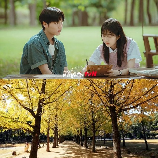 Lokasi Syuting Twinkling Watermelon /Foto: instagram.com/kdramalocation m