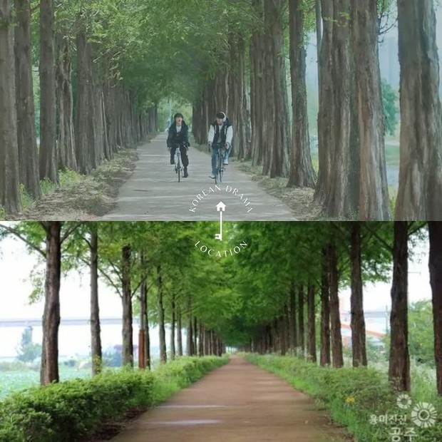 Lokasi Syuting Twinkling Watermelon /Foto: instagram.com/kdramalocation m