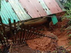 Hujan Deras Sebabkan Longsor dan Pohon Tumbang di Pangandaran