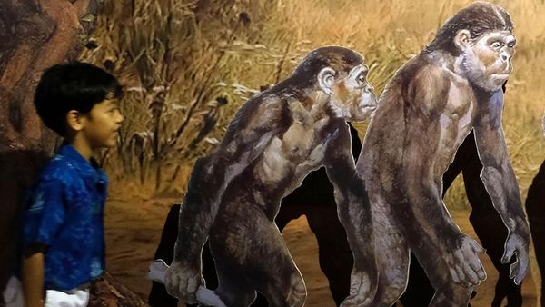 Melihat Kehidupan Manusia Prasejarah di Museum Bajra Sandhi Bali