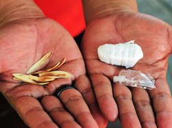 Heboh Jimat Kembang Kantil Dibawa Peserta Tes CPNS Kemenkumham Jatim