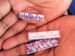 Alasan Peserta Tes CPNS Kemenkumham di Surabaya Bawa Jimat