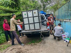 Masih Tentang Medan Zoo: Orang Utan Alami Obesitas