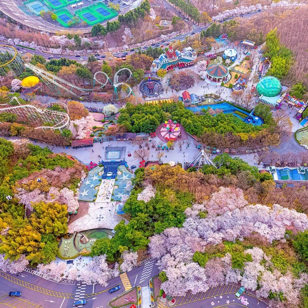 Taman Hiburan E-World /Foto: visitkorea.or.kr k