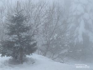 Dingin-dinginan di Turki: Main ke Gunung Uludag