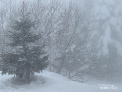 Dingin-dinginan di Turki: Main ke Gunung Uludag