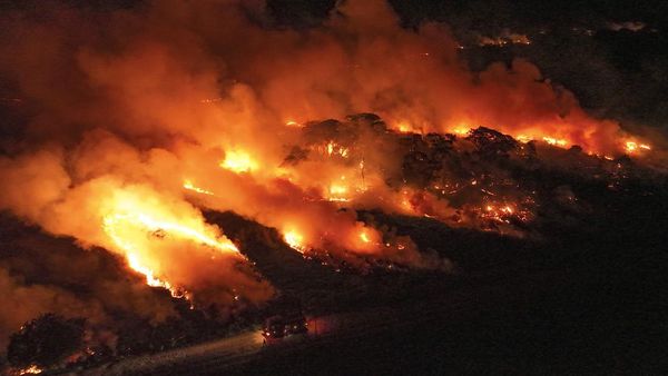 Gawat! Lahan Basah Terbesar di Dunia Terbakar
