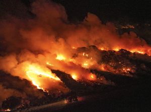 Gawat! Lahan Basah Terbesar di Dunia Terbakar