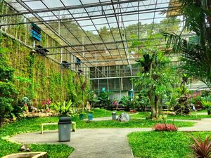 Central Park Zoo & Resort: Lokasi, Jam Buka, HTM, dan Fasilitas