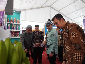 Ayo Datang ke Expo Parekraf Batu, Ada Pentas Seni-Festival Makanan! Ayo Datang ke Expo Parekraf Batu, Ada Pentas Seni-Festival Makanan!