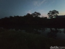 Asal-usul Cerita Buaya Putih Penghuni Sungai Kriyan Cirebon