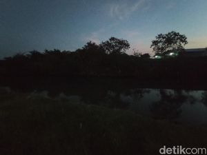 Asal-usul Cerita Buaya Putih Penghuni Sungai Kriyan Cirebon Asal-usul Cerita Buaya Putih Penghuni Sungai Kriyan Cirebon
