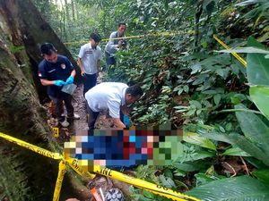 Mayat Ilham Penuh Luka Tusuk Ditemukan Dekat Bunga Bangkai di Bengkulu Mayat Ilham Penuh Luka Tusuk Ditemukan Dekat Bunga Bangkai di Bengkulu