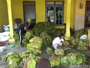 Aturan Rokok Bakal Diperketat, Kemnaker Khawatir Bisa Picu PHK