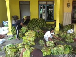 Aturan Rokok Bakal Diperketat, Kemnaker Khawatir Bisa Picu PHK