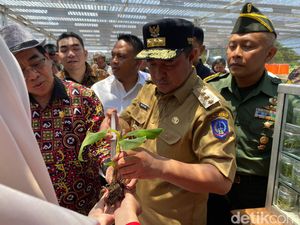 Mimpi Bahtiar Bangun SMK Budi Daya Pisang di Bone demi Cetak Miliarder Mimpi Bahtiar Bangun SMK Budi Daya Pisang di Bone demi Cetak Miliarder