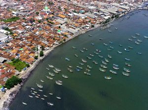 Sudah Tahu Pelabuhan Perikanan Tertua di Jawa? Ini Potretnya Sudah Tahu Pelabuhan Perikanan Tertua di Jawa? Ini Potretnya