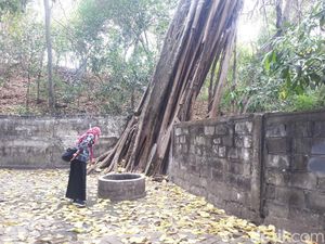 Cerita Sumur Gemuling di Gresik yang Miring karena Digulingkan Sunan Giri Cerita Sumur Gemuling di Gresik yang Miring karena Digulingkan Sunan Giri