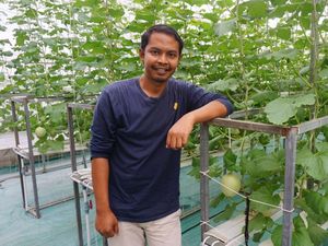 Beralih Jadi Petani Melon, Eks Dosen Akuntansi Ini Raup Omzet Puluhan Juta