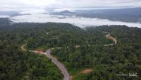 Belah Hutan Lebat! Ini Dia Jalan Muri-Kwatisore di Papua