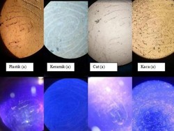 Biji Kurma Ternyata Bisa Ungkap Sidik Jari yang Tak Terlihat Lo, Kok Bisa?