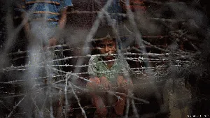 Bingkai Sepekan: Jalan Panjang Rohingya di Indonesia, Kini Ditolak Aceh