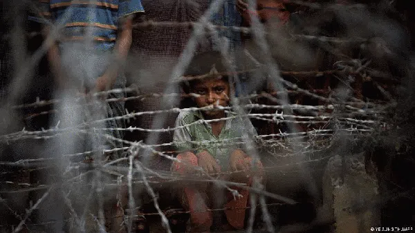 Bingkai Sepekan: Jalan Panjang Rohingya di Indonesia, Kini Ditolak Aceh